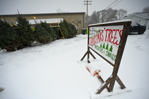 Holiday Johnson Creekdsc 5023251129