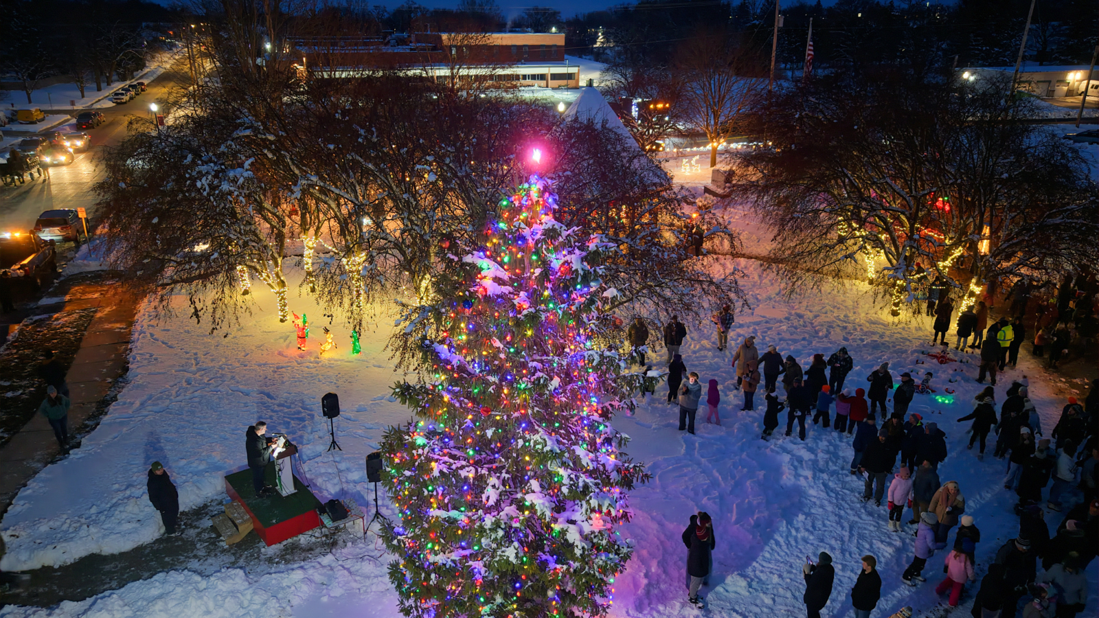 Tree Lighting Website