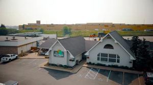 Aerial Shot Of Pine Cone & Outlet Mall