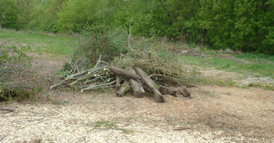 Brush & Compost Schedule