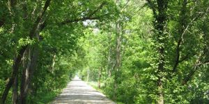 Glacial River Trail 5