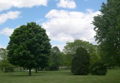 Firemans Park